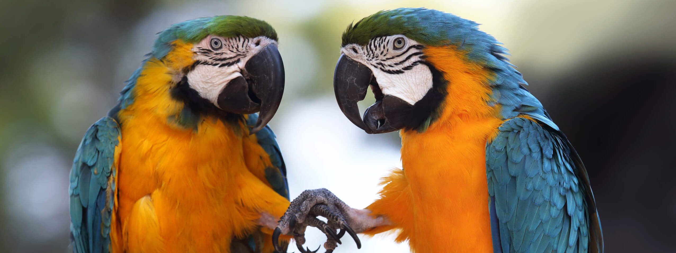 Eine Patenschaft fürs Leben