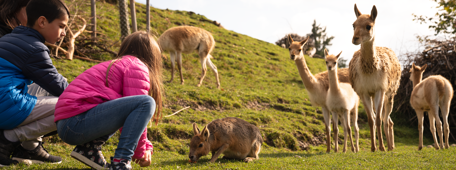 Dein Rendez-vous mit dem Lieblingstier