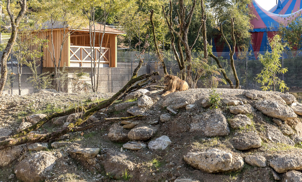 Löwenanlage Löwenanlage