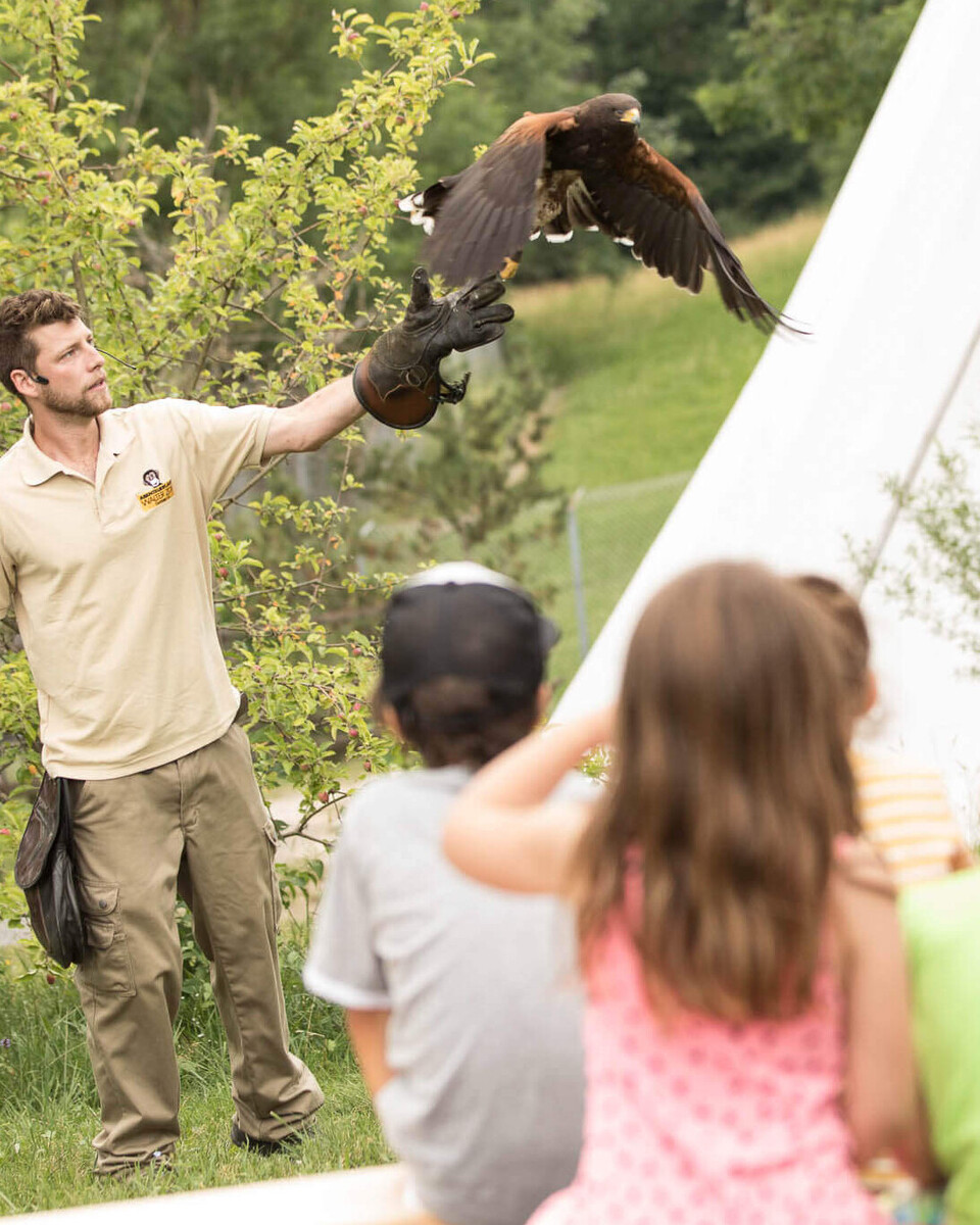 Flugtraining Zooareal
